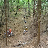 P1010013.jpg
